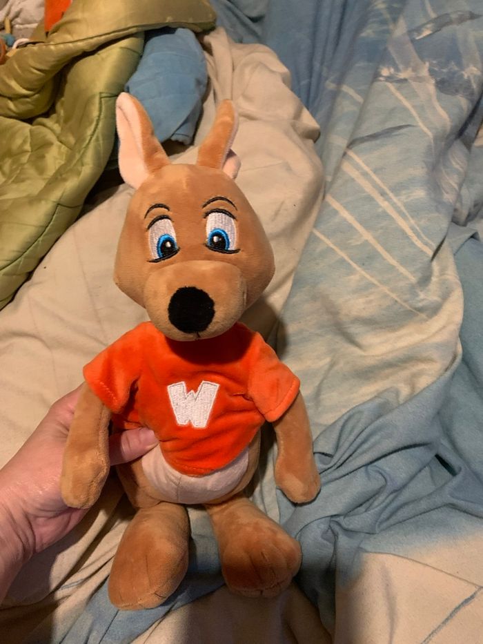 Divers lot de peluches - photo numéro 4