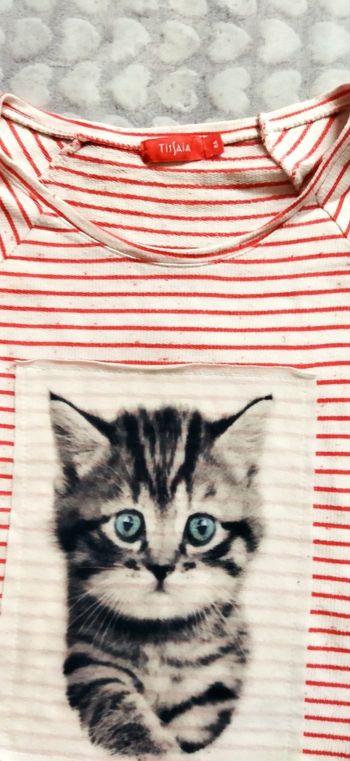 Tee-shirt manches longues chat