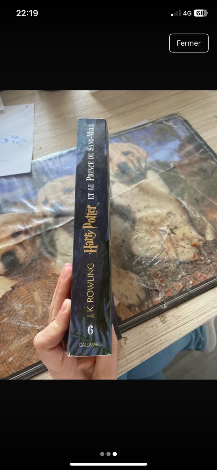 Livré Harry potter et le prince de sang mêlé - photo numéro 3