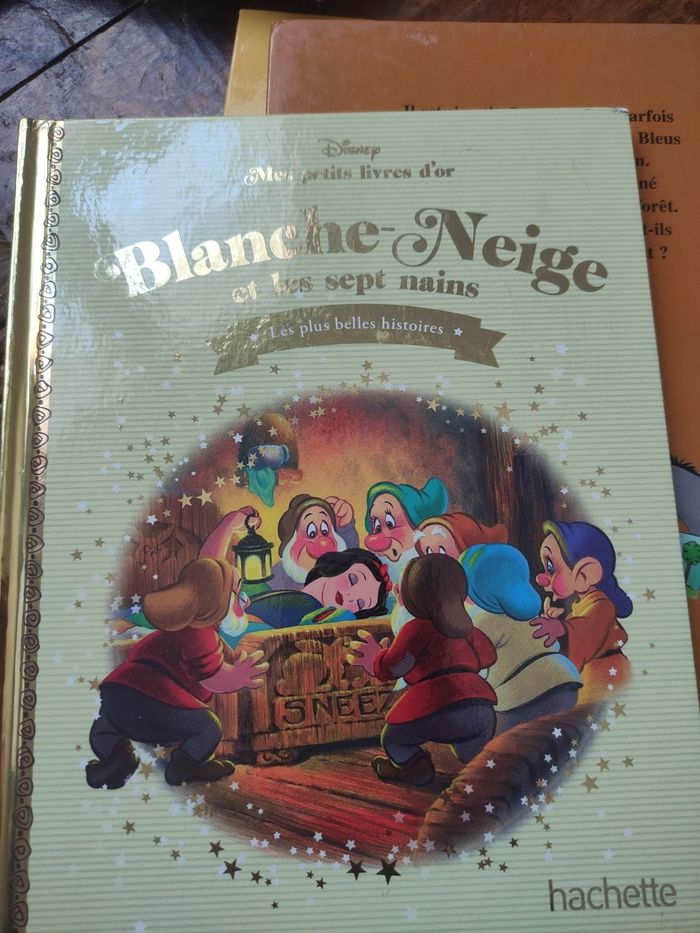 Livre Disney