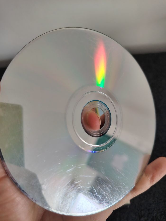 Dogz wii - photo numéro 4