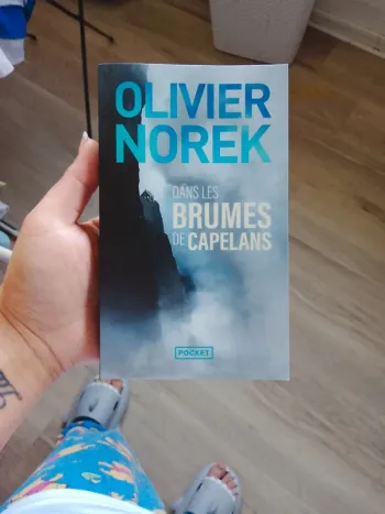 Livre de olivier norek