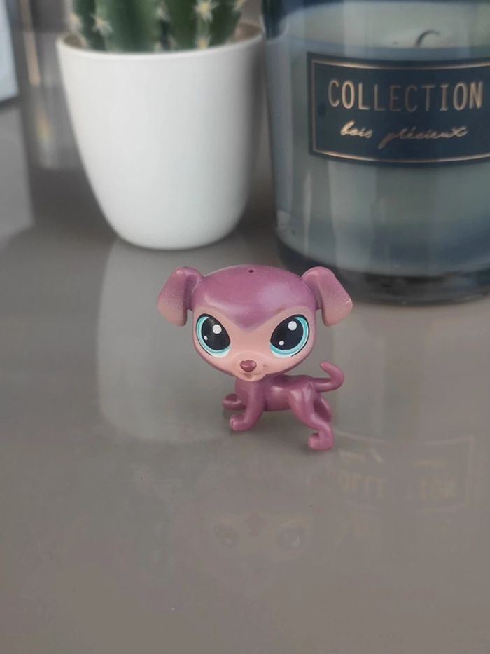 Littlest Pet Shop #220 Bouncy Eagerton purple dog labradoodle