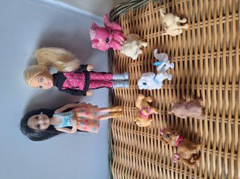 Lot de 2 poupées shelly neuves (1 blonde et 1 brune) et un lot d'animaux (chiens - chat)