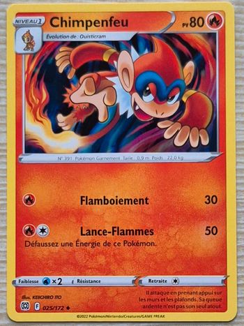 Chimpenfeu Stars Étincelantes