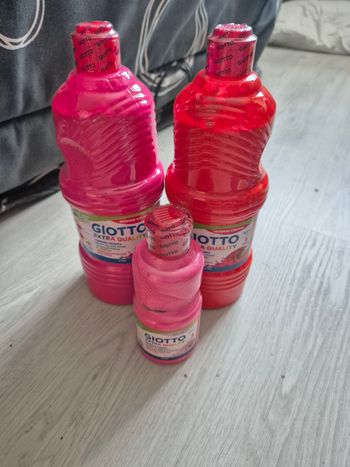 Lot de 3 flacons de peinture Giotto neuf