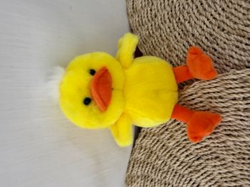 Les P'Tits Gardenous 14 Cm - Canard gipsy