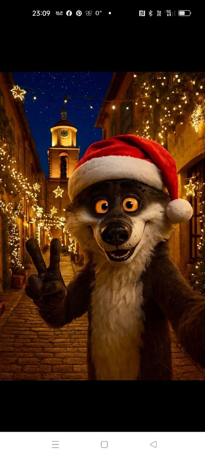 Cadre loup mal aimé