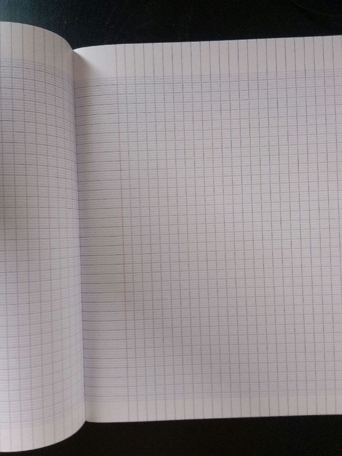 Cahier 21x29,7- 96 pages - vert - grands carreaux - photo numéro 2