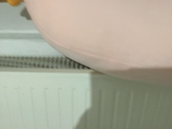 Escargot d eveil - photo numéro 3