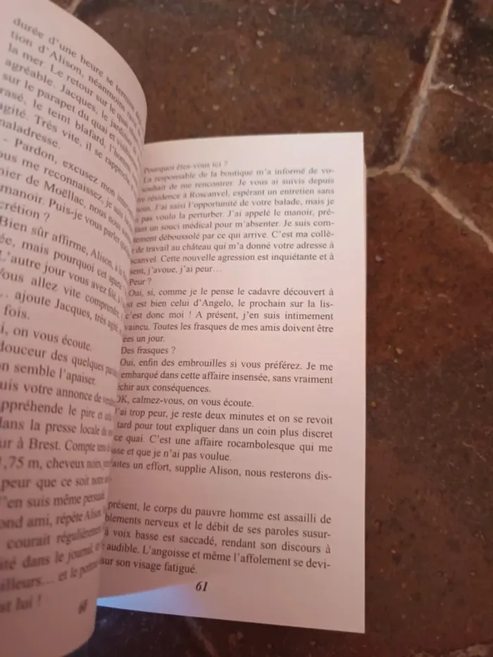 Livre la malédiction de crozon - photo numéro 3