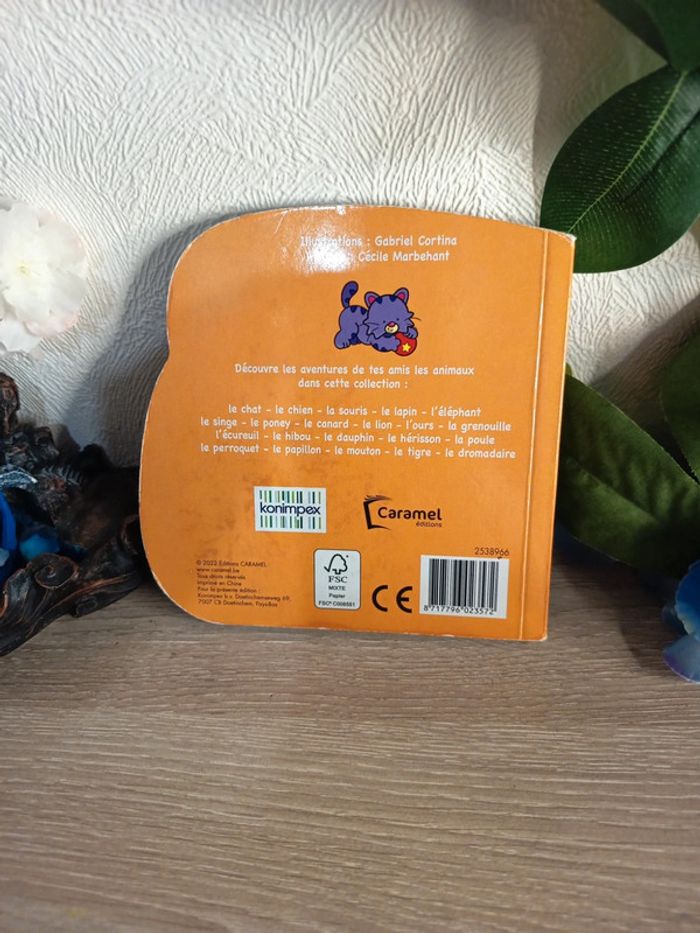 Misti le chat 🐱 satisfaisant - photo numéro 3