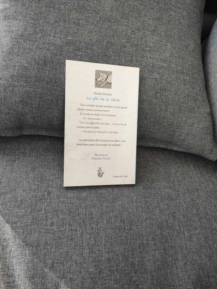 Le Yéti de la récré - photo numéro 2