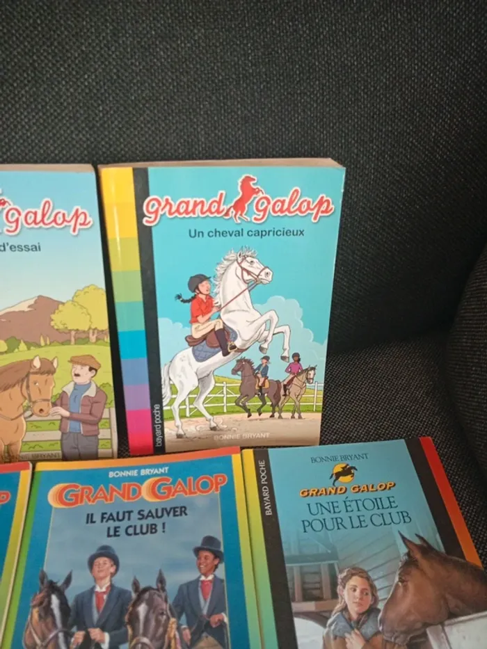 Lot livres grand galop - photo numéro 8