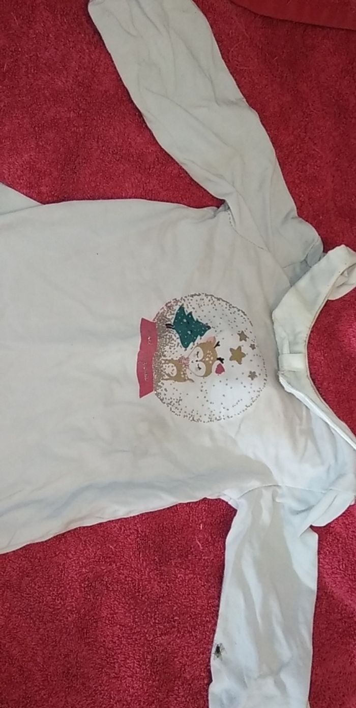 Bodie cerf - photo numéro 2