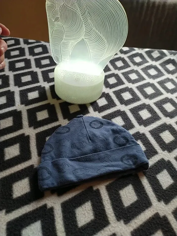 Bonnet - photo numéro 3