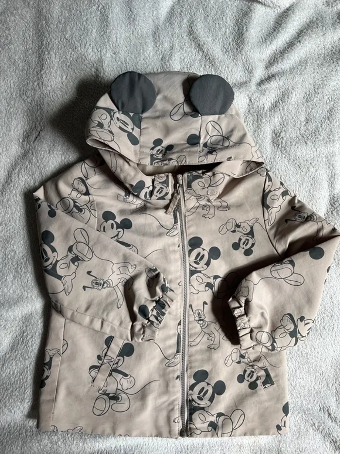 Coupe vent Mickey