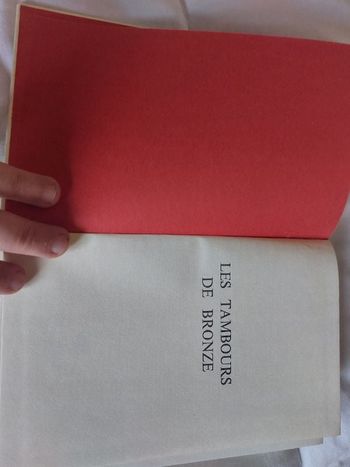 Livre titre  Les tambour de bronze
