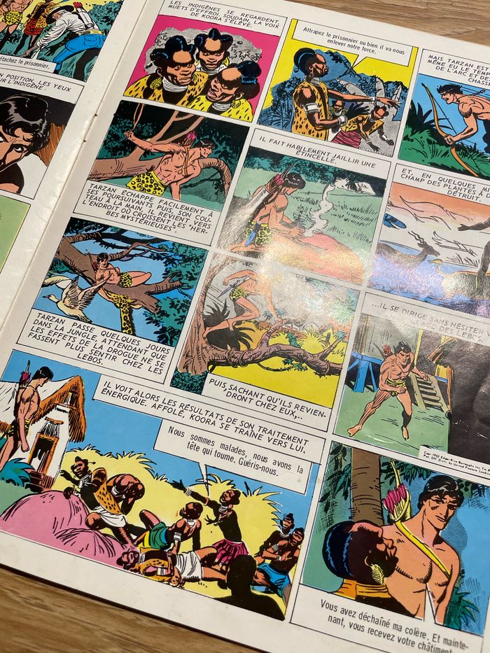 Tarzan - photo numéro 4