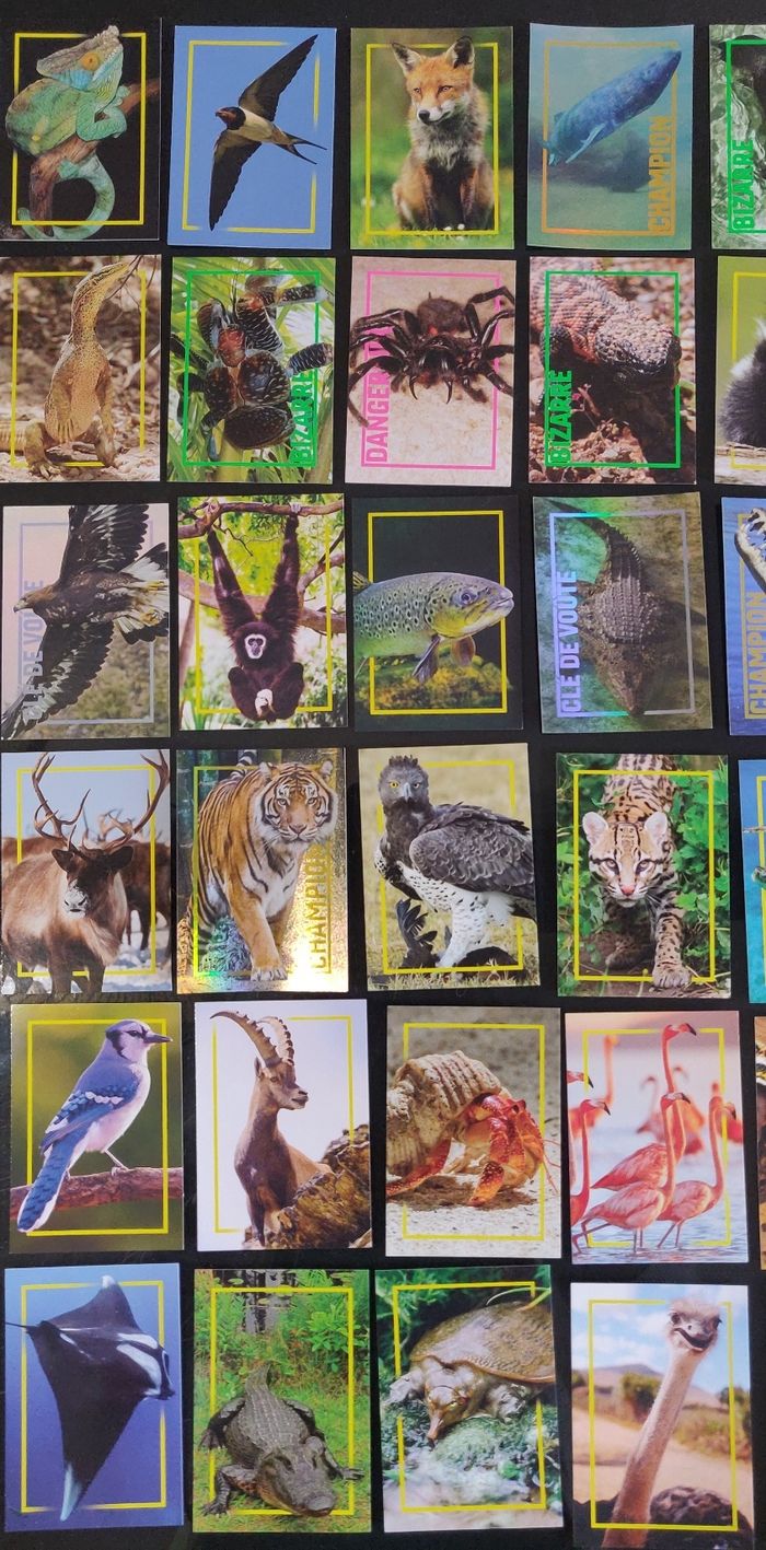 Lot classeur Incroyables animaux neuf + 64 cartes - photo numéro 3