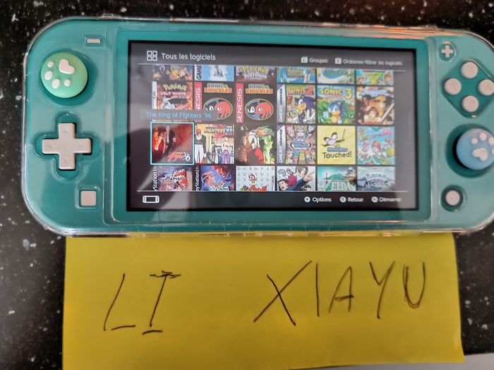Nintendo switch lite jeux illimité (512 giga)