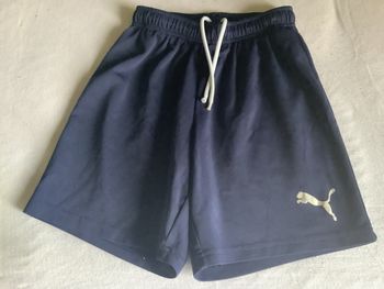 Short puma