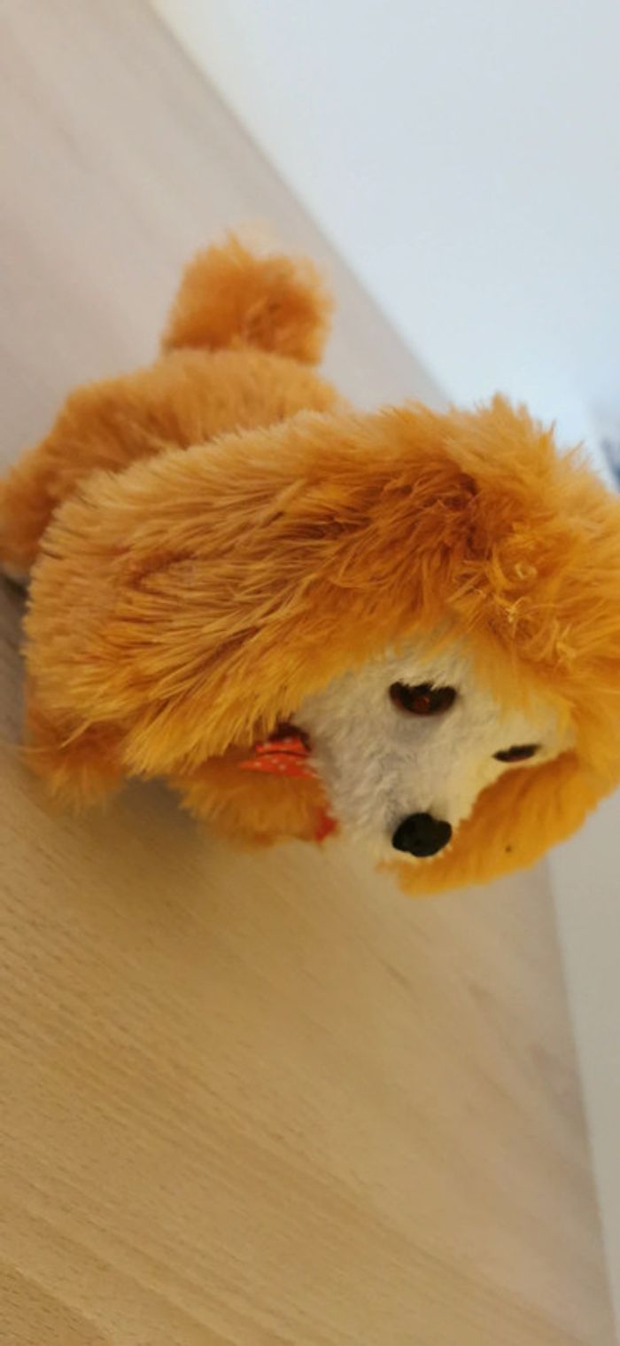 Chien interactif - photo numéro 2