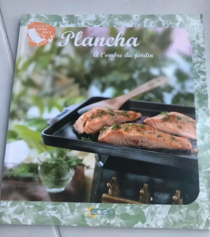 Livre recettes plancha