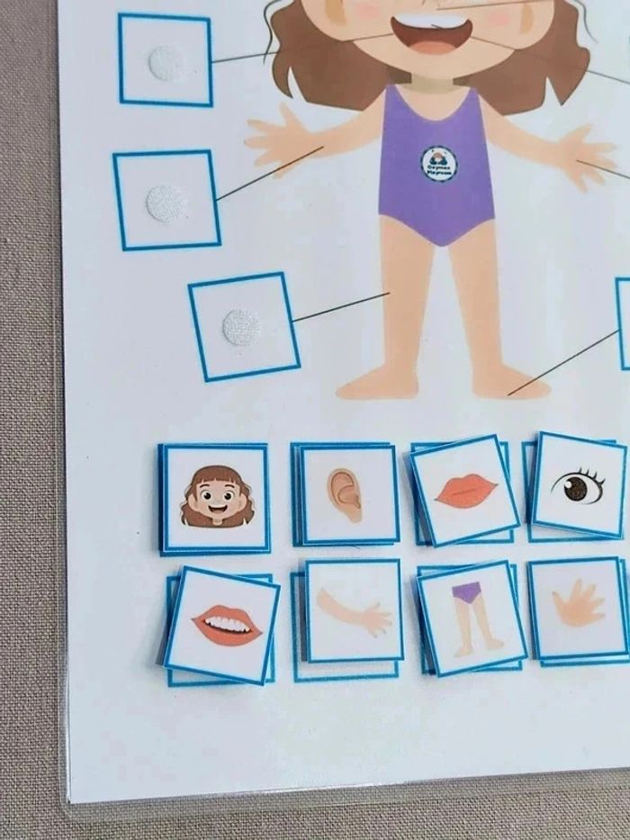 Fiche à scratch parties du corps fille Montessori - photo numéro 2
