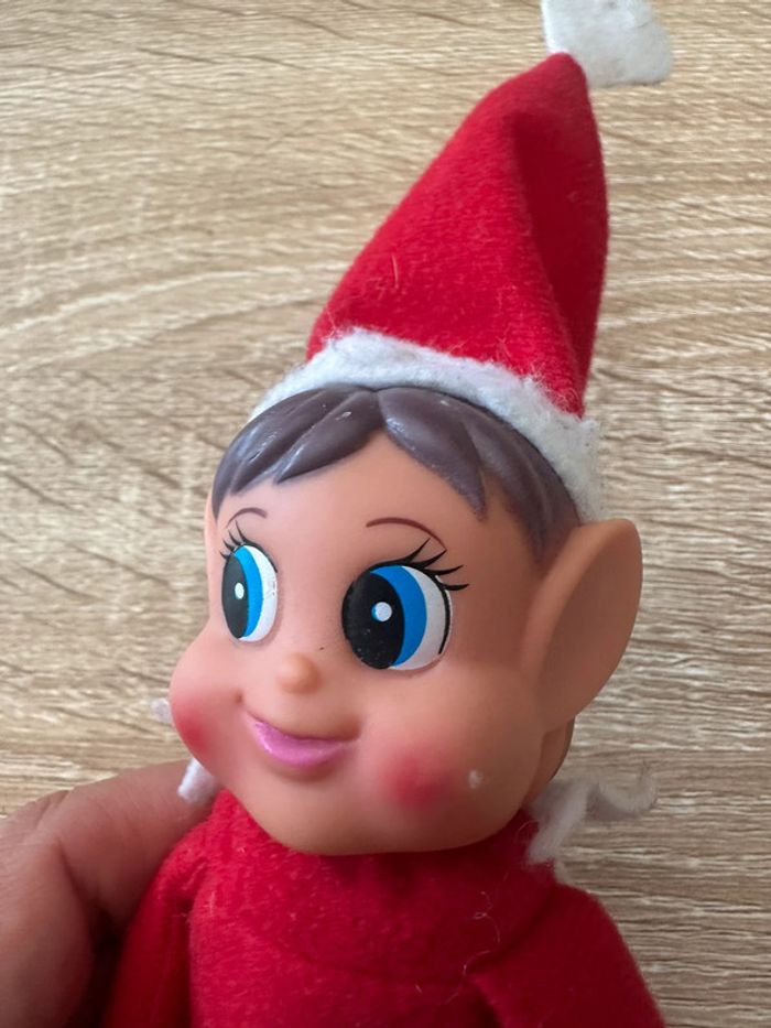 Lutin farceur de Noel - photo numéro 3