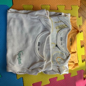 Lot de 3 bodies manches courtes