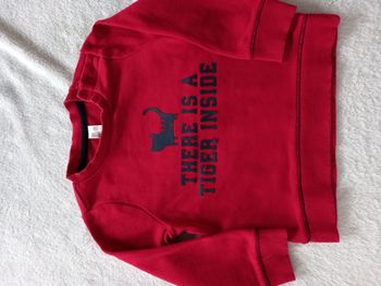 pull rouge 18M