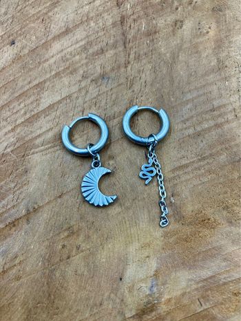 Boucles d’oreilles petites créoles breloques chaînes acier inoxydable lune serpent