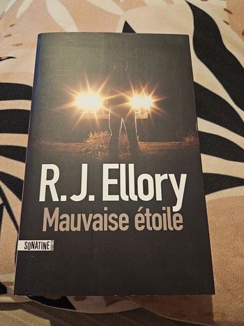 Roman Mauvaise Étoile de R.J Ellory