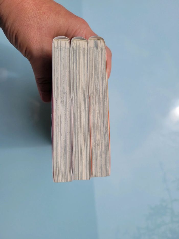 3 Mangas Soul eater, tomes 1 à 3 - photo numéro 6