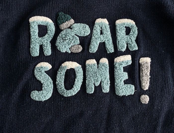 Pull col camionneur manches longues 12m 2a - photo numéro 8