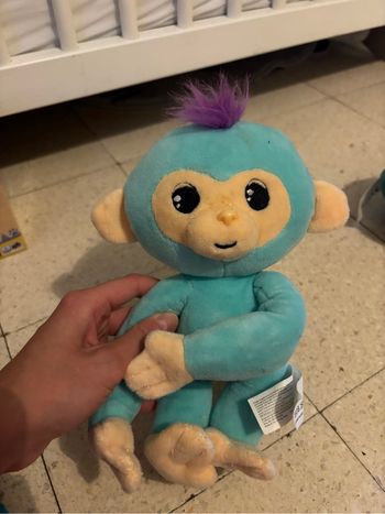 Petit singe vert