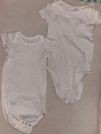 2 bodies neuf blanc coton manches courtes