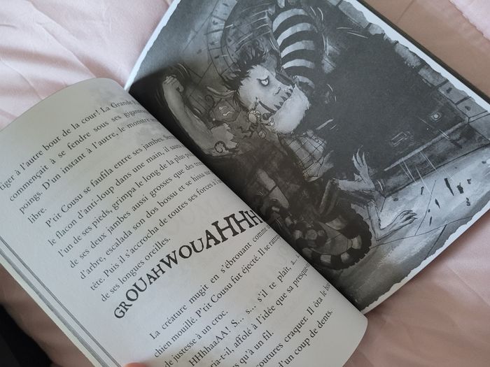 livre le p'tit cousu  (3e) - photo numéro 2