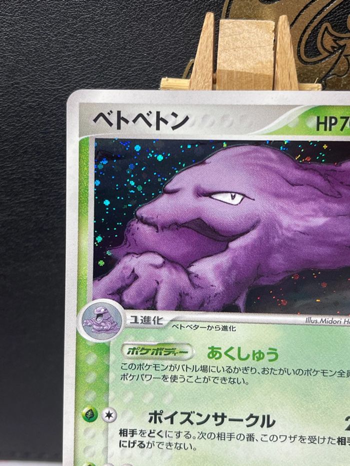 Grotardmorv Holo bloc Ex mirage Forest - photo numéro 3