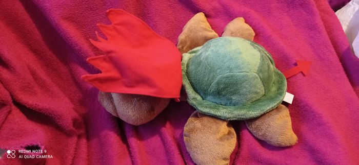 Tortue démon - photo numéro 2