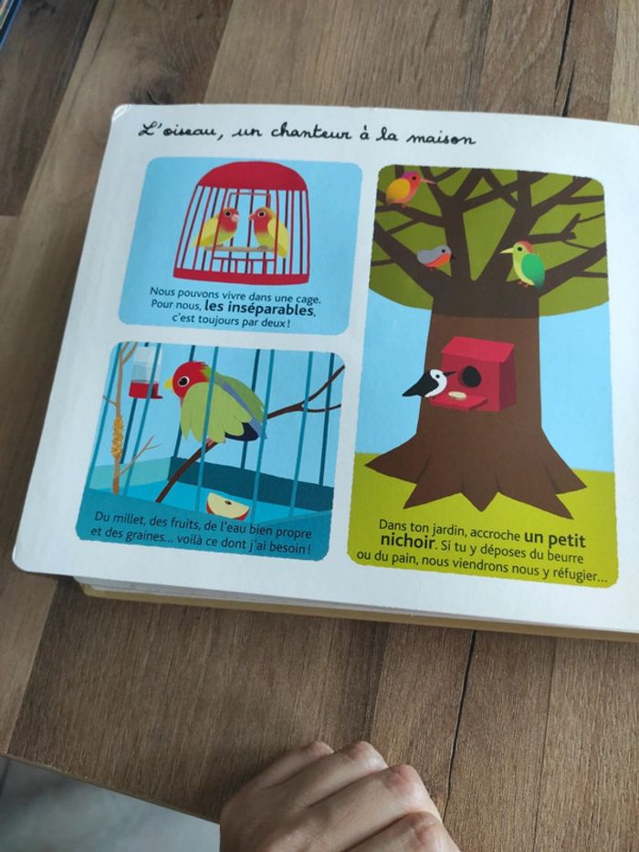 Livre : Mes animaux familiers à toucher - photo numéro 15