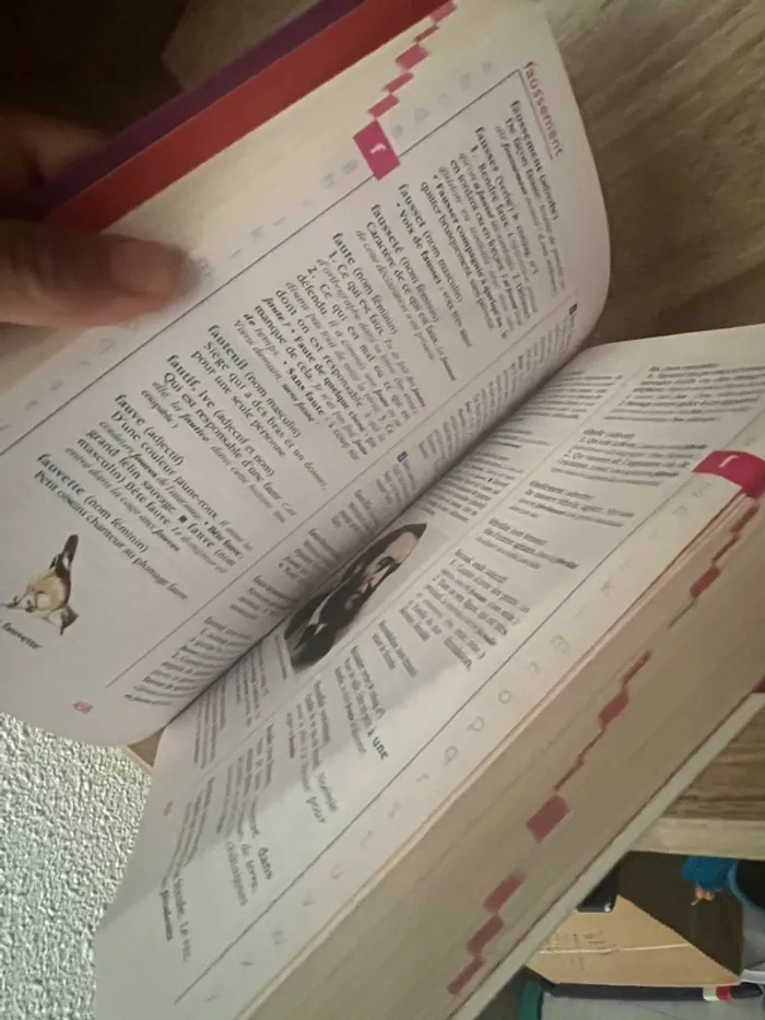 Dictionnaire Hachette junior 8-11 ans - photo numéro 4