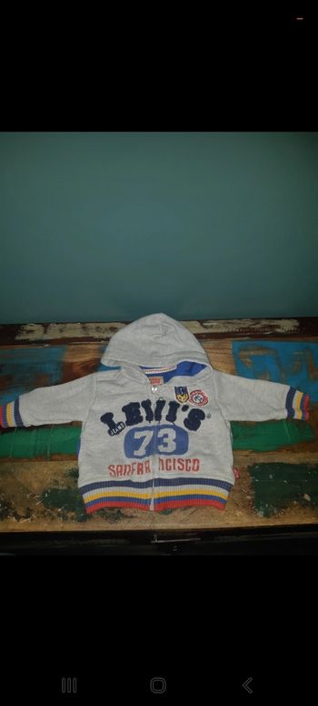 Gilet à capuche Levi's