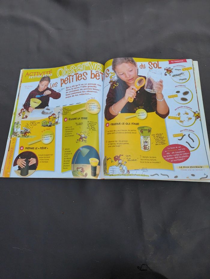 Wapiti quel temps fait il - photo numéro 7