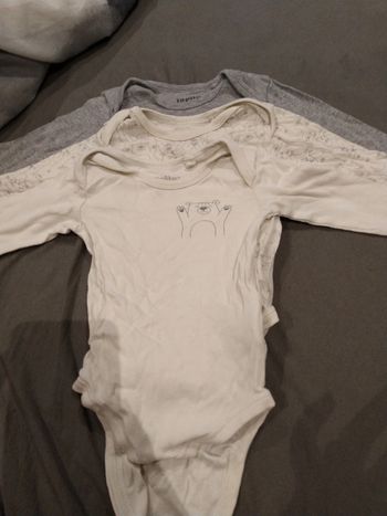 Lots de 3 bodys lupilu