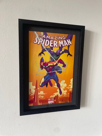 Cadre Spider-Man - le rodeur