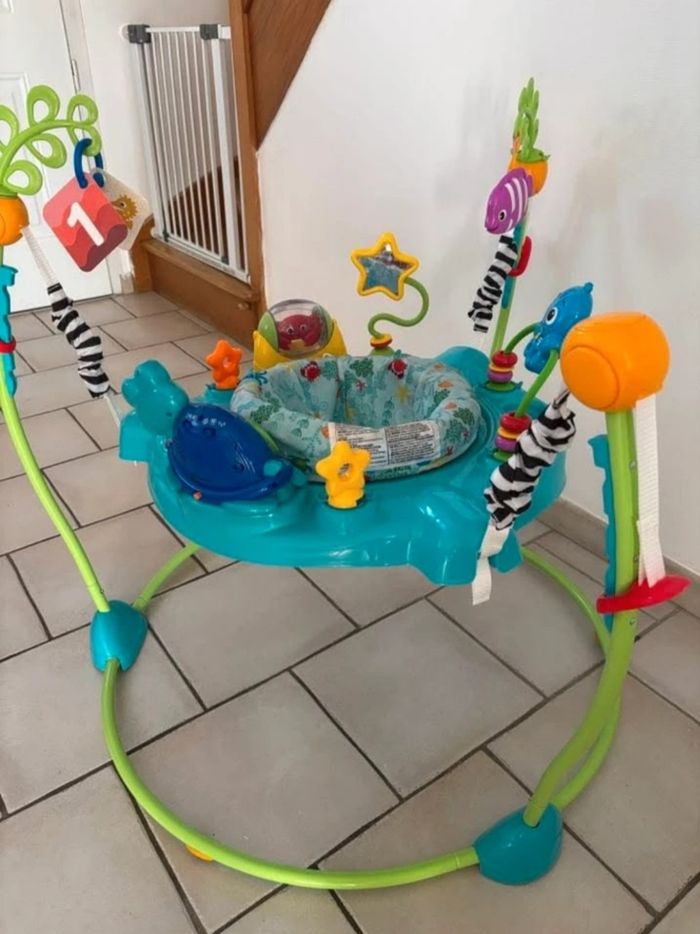 Jumperoo baby einstein - photo numéro 3