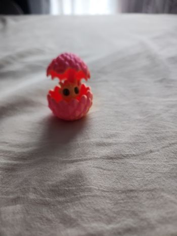 Petit dragon et son oeuf 