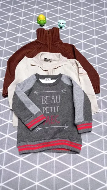 🦁Lot 2 pulls et 1 sweat, 23 mois